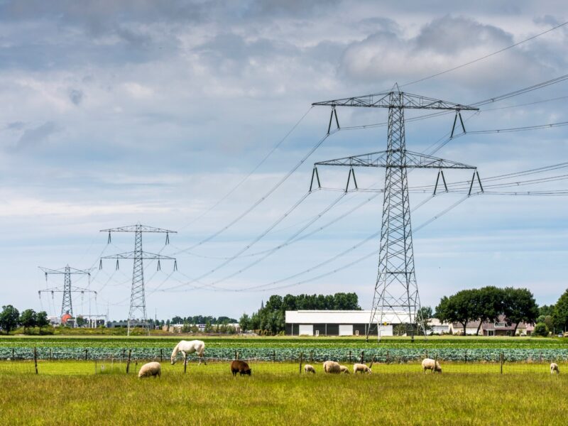 TenneT maakt ruimte op het hoogspanningsnet in Noord-Brabant en Limburg TenneT maakt ruimte op het hoogspanningsnet in Noord-Brabant en Limburg